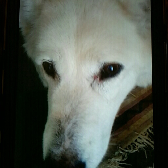 Meet your Posher, Brenda - Picture 7 of 13